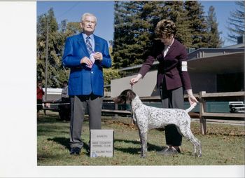 Dixee going Winners Bitch at the Wine Country KC show under Mr. Norman Patton. Ironically, Norm also awarded Frieda a BOB over top Specials at only 8 months old!