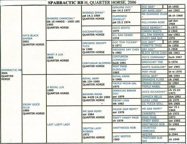 Mare below is bred to this AQHA stallion for a 2022 foal