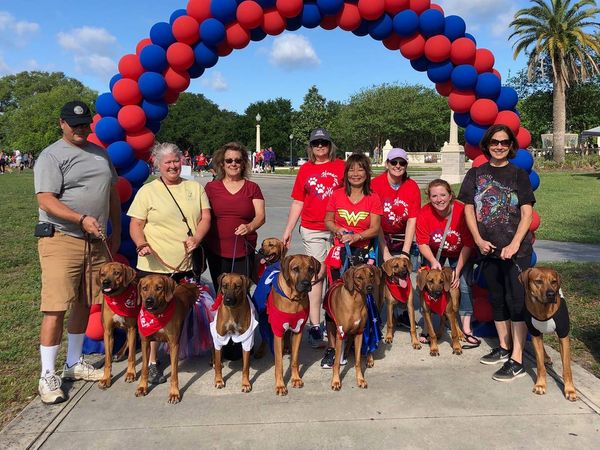 Paws For Peace Walk, May 2019