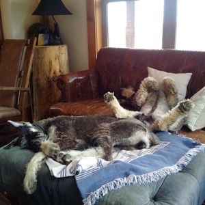 Pooped in Wainwright Alberta.