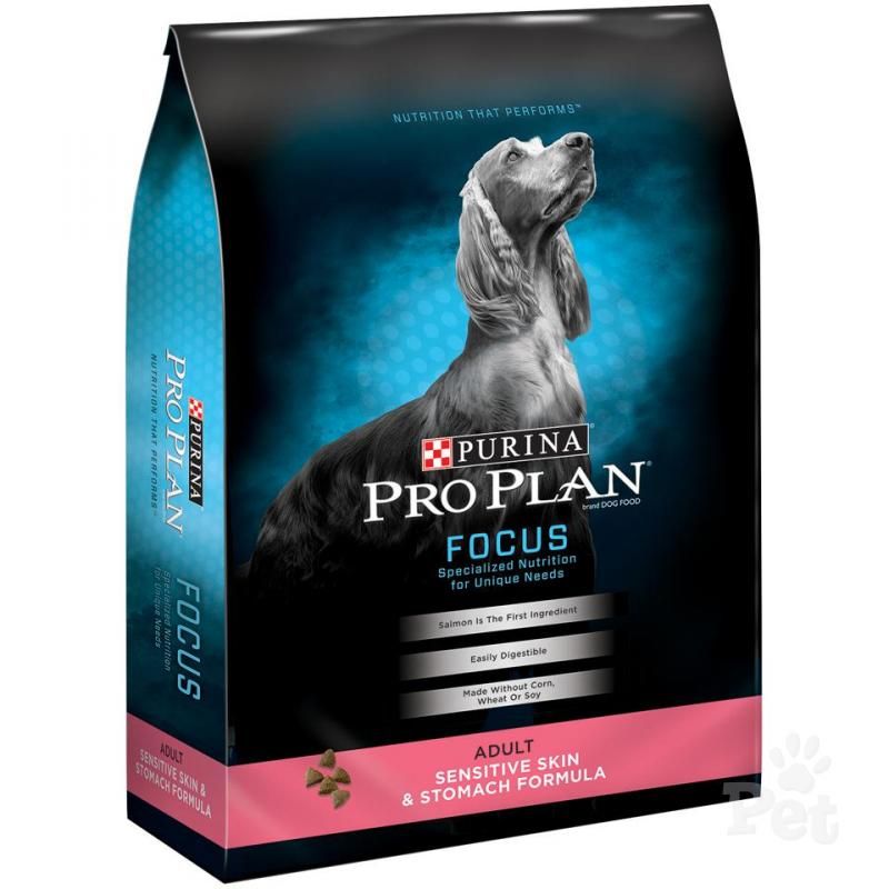 We feed and recomend ProPlan
