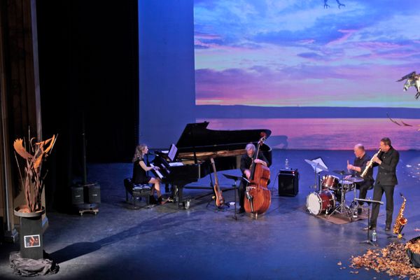 Performance at the Smith Opera House, Geneva New York in November 2015 for Birds & Song: A Collaboration of Music and Metal.