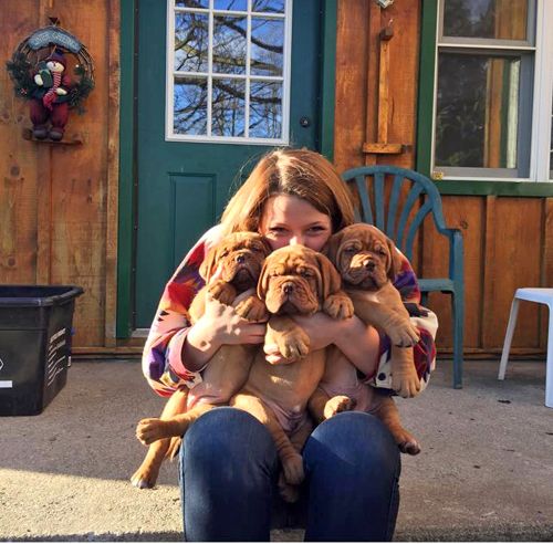 Dogs just respond to Sarah