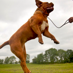If she had wings, this girl would fly for sure!