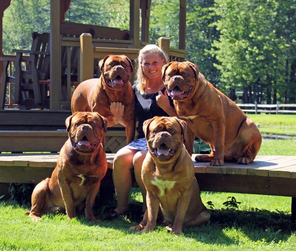 All Dogues love Tracey!
Here she proudly sits with 4 A.K.C. Grand Champions all from the same litter