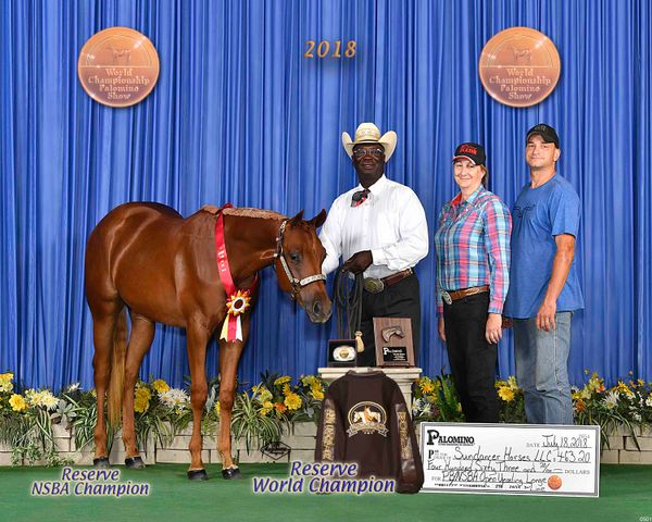 Athena with Robert in their show photo at the 2018 PHBA World Show in Tunica, MS in July.