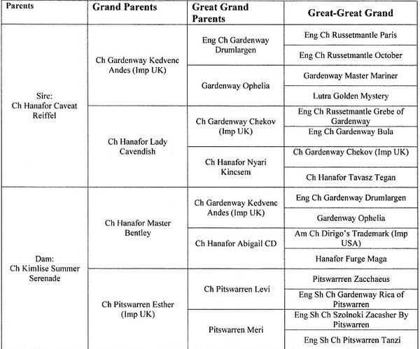 Kobi's pedigree