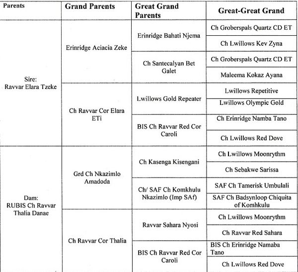 Alia's pedigree