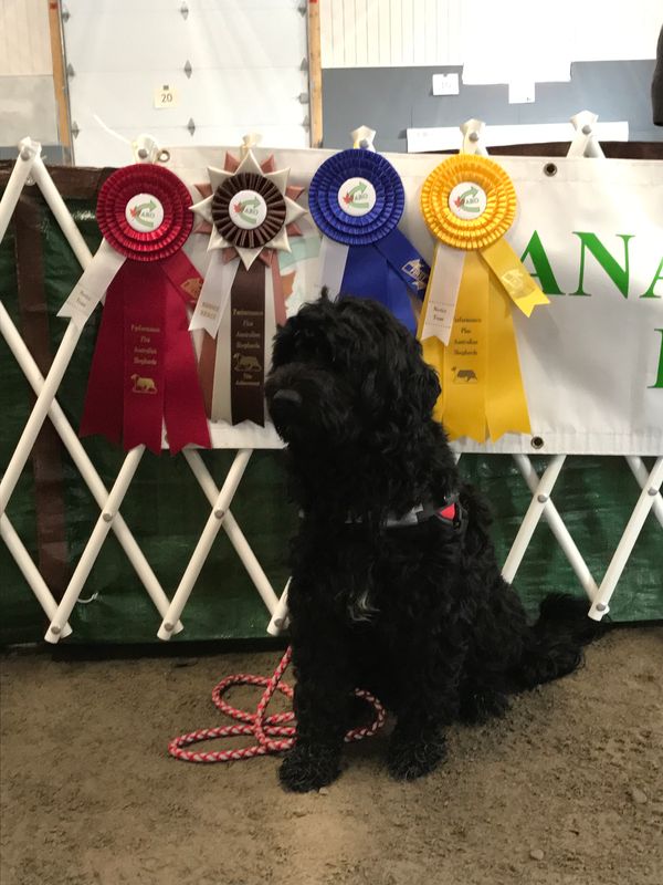 Winnies first Rally Trial