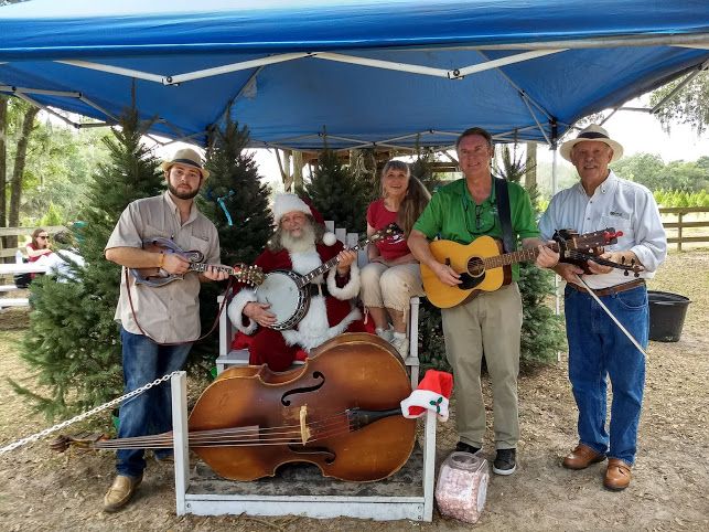 Santa's Christmas Tree Farm Eustis