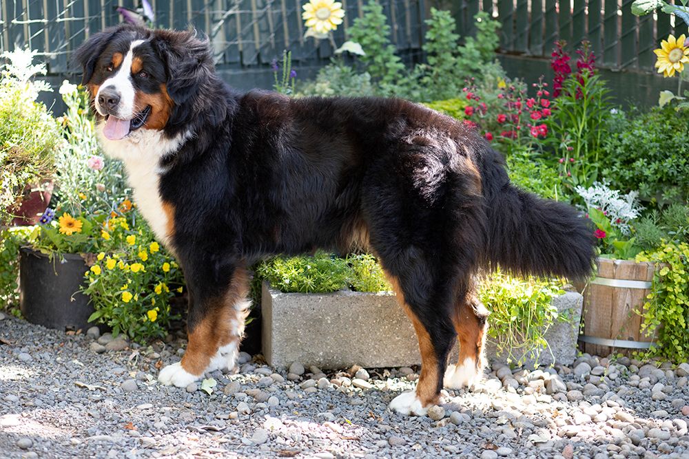 Such a handsome boy-17mos
