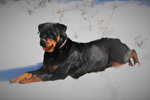 Ulla