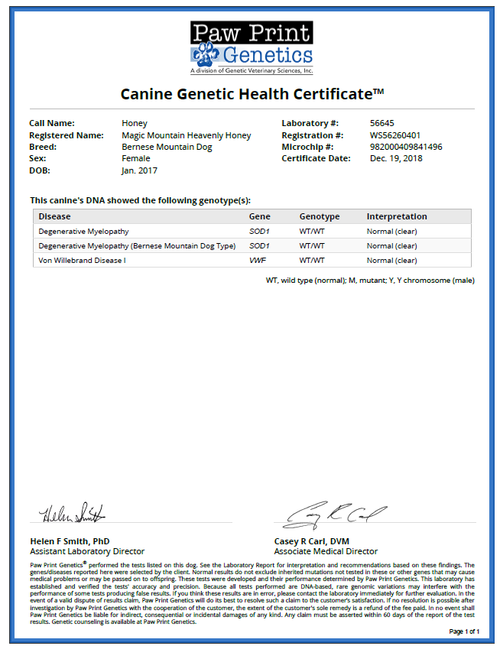 Honey Lab Report
