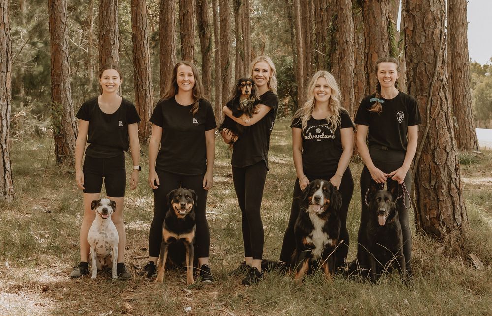 Claire with Lilo, Amy with Dizzy, Kristy with Enzo, Zoie with Fallon and Maddy with Echo