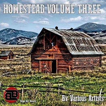 Song - "She's Like A Weatherman" - CALICO - VARIOUS ARTISTS - HOMESTEAD VOLUME THREE - Song Producer: Betsy Walter