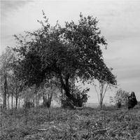 Black & white still of Americana musician Sarah King playing guitar in field with tree