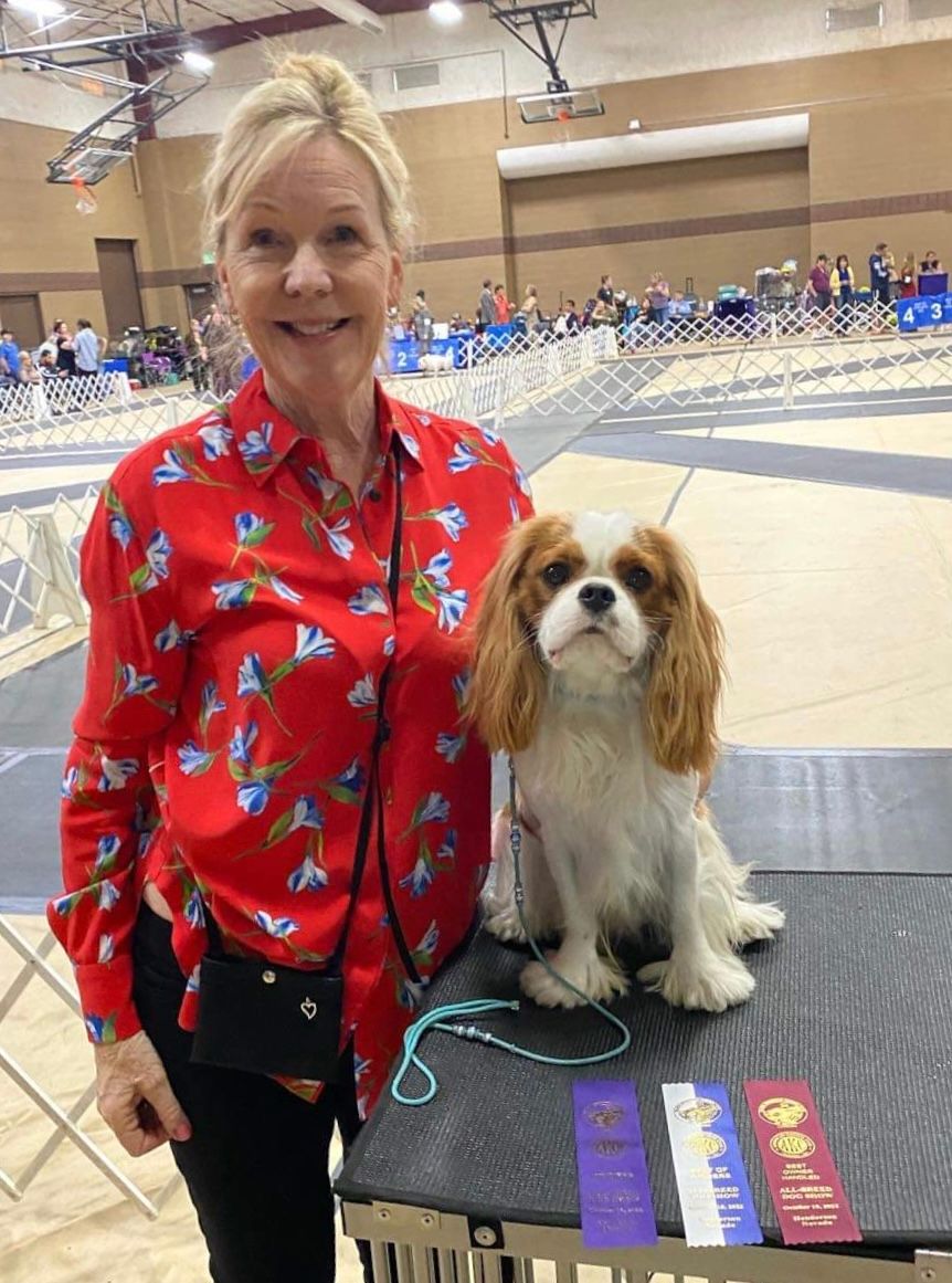 Finley got his first points in October 2022....a major! Congratulations to his owner/handler Vivienne Willis!