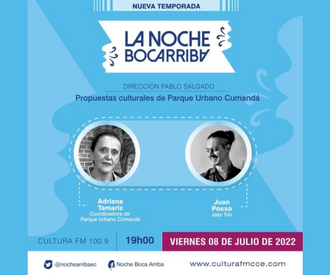 La noche boca arriba