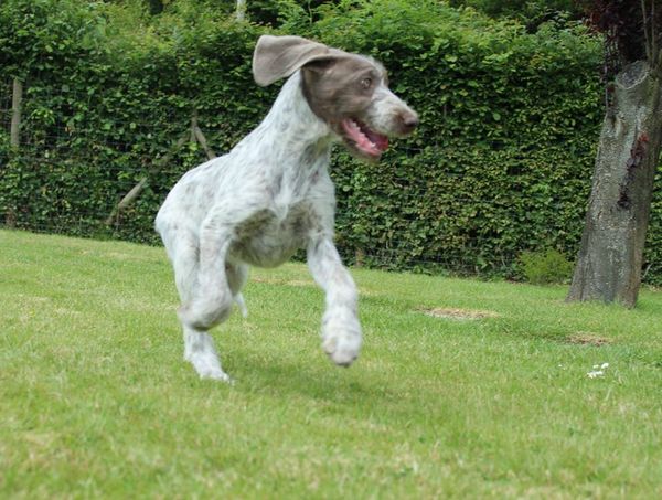 Orbit playing