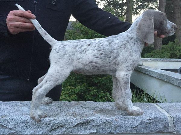 Orbit 8 weeks