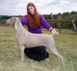 Wilma