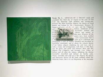 'Premises for self-rule' is a series of 5 paintings with graphite inscriptions with relief-printed text and acetate film with lazer printed text mounted to white multi-ply board, juxtaposing abstract colour fields with colonial legal documents.