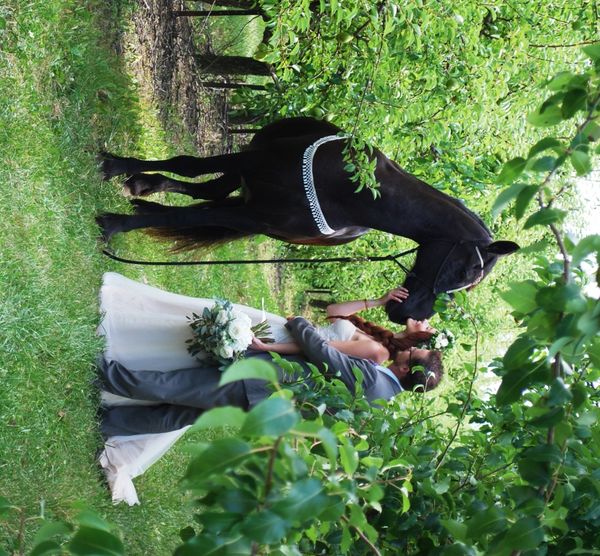 Tjalline is a wedding, Aug 2014.