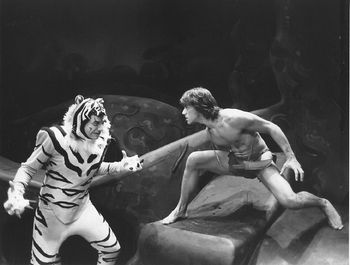 Scene from production of "Mowgli." Shere Khan confronts Mowgli. Directed by Tom O"Horgan, C.J. Ellis, lyrics, KN, composer.