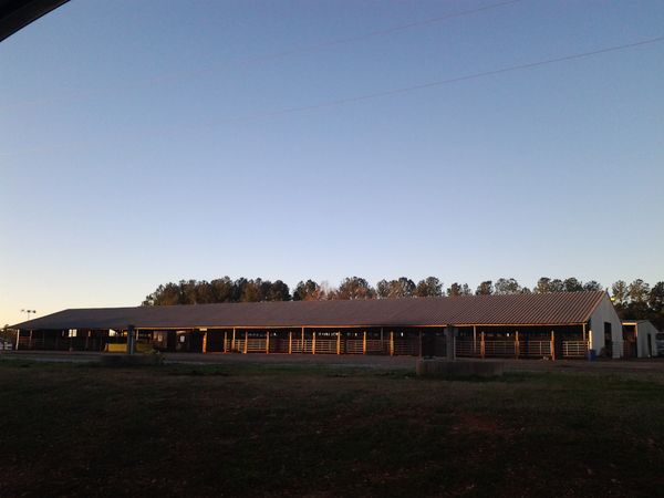 side view of our 100 stall barns and you can see a couple of our 40 hook-ups that are available when you rent our venue.