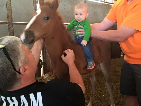 OUR COLTS ARE BORN TO RIDE. WITH GOOD MINDS AND BIG HEARTS