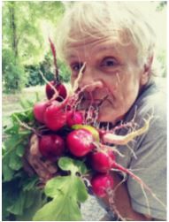Ralph Kinsley and his radishes