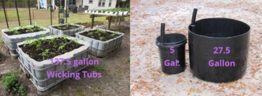 Wicking tubs, water/fertilize from the bottom, water once every 2 weeks, reduce water consumption.