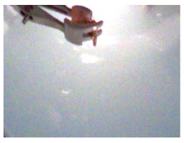Visible Light Image