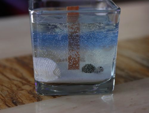 Wood Wick Turtle Gel Candle
