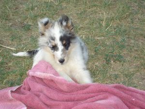 "Bitsy" as a baby!
