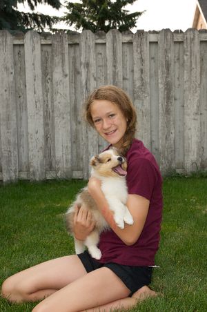 "Skye" a "Flirt" puppy owned by the Crosby family