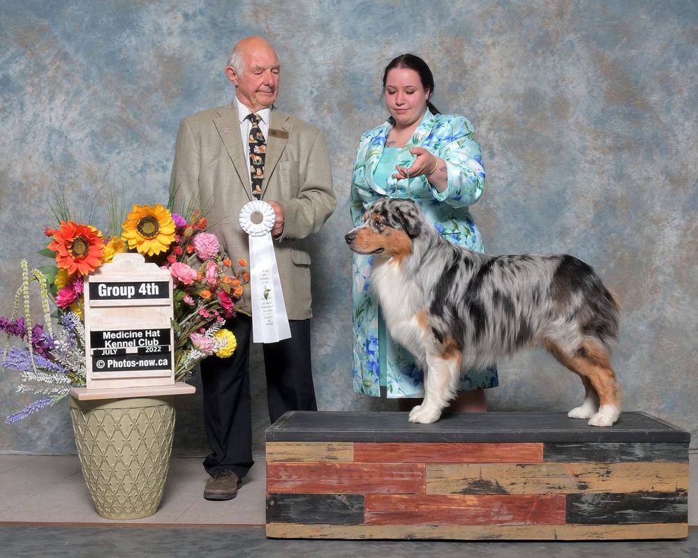 Multiple Group Placing Can. CH. Oenomel's Turn It Up NTD, NS, HIC, DNA-CP (Busta Rhymes)