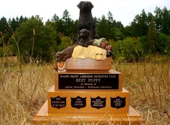 Best Puppy Trophy In Memory of Sylvia Shandley - Britannia Labradors Donated by BRITANNIA LABRADORS Reg' Bob & Sylvia Shandley AWARDED TO: 2000 - CHELONS SONG OF THE SOUTH 2001 - JANDOR SOLITAIRE 2002 - BLACKWATERS NIPNTUCK CHEERLEADER 2003 - MAKAILA'S CALLIE BREKKE 2004 - FAWNHAVEN'S DOUBLE SHOT 2005 - MAINLAND'S SARATOGA PASSAGE 2006 - MAINLAND'S SEASAC THIRD-TIMES-A-CHARM 2007 - SHAWNIGAN CAMALIRE GYPSY ROSE 2008 - CH CAMBRIDGE DON'T WAIT UP 2009 - CH CAMBRIDGE POINTS NORTH 2010 - BLU TOP'S PIN UP GIRL AT CHIBRY 2011 - CH DUCKNDOGS TOO HOT TO HANDLE 2012 - SCARLAW'S ROLLIN IN THE DEEP DEVINE 2013 - CH XENA'S HIGH CALIBER 2O14 - DEVONSHIRE'S BACK IN BLACK
