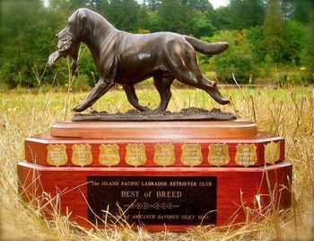 Best of Breed Trophy In Memory of AM/CAN.CH DAVOEG'S SILKY BEAU. Donated by John & Mary Doherty DAVOEG LABRADORS AWARDED TO: 1998 - AM/CAN CH BRITANNIA KOKANEE WIND 1999 - EASTHILLS SUMO SAFARI THYME 2001 - DEVONSHIRES FRENCH KISS 2002 - SKYFIRE'S TRIBUTE TO CAMEO 2003 - RAVENCLIFF'S BEND THE RULES 2004 - AM/CAN CH GINGERBRED MILENNIUM 2005 - CH GHOSTSTONE'S BOOMTOWN JH 2006 - BLACKWATERS NIPNTUCK CHEERLEADER 2007 - AM/CAN CH DEVONSHIRES ART OF THE ELEGANCE 2008 - NIPNTUCK SHOW ME THE MAGIC 2009 - NIPNTUCK STOCKING STUFFER 2010 - BISS AM/CAN CH MAINLAND'S SEASAC THIRD TIME A CHARM 2012 - BOB AM/CAN CH CEDARWOODS SIGNATURE BROWNING COPIED 2013 - CH XENA'S HIGH CALIBER 2014 - MBISS AM/CAN CH JANDOR MEADOWMIST JH WC