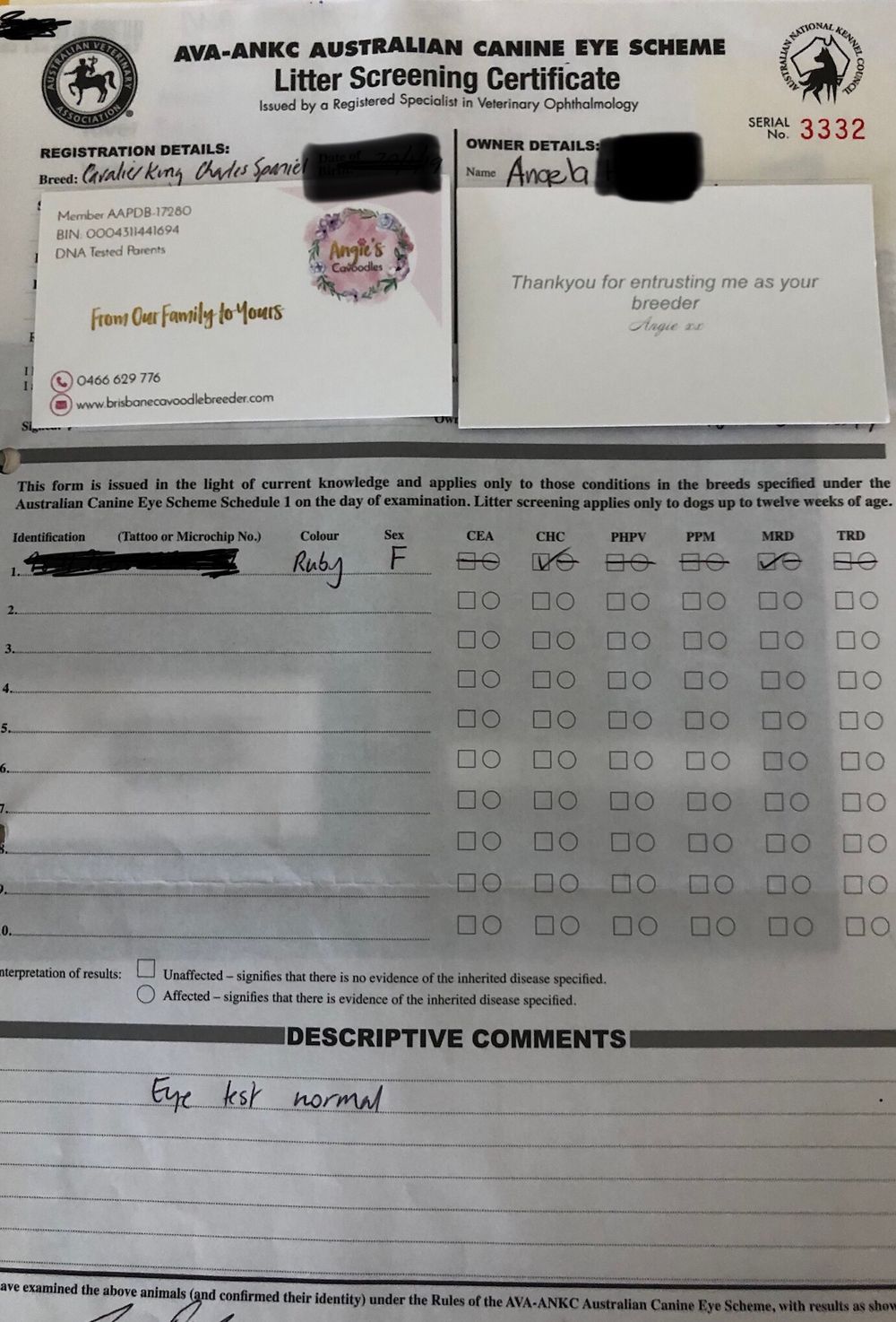 Specialist Eye Screening Results Look like This