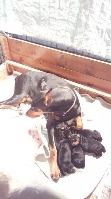 Newborns