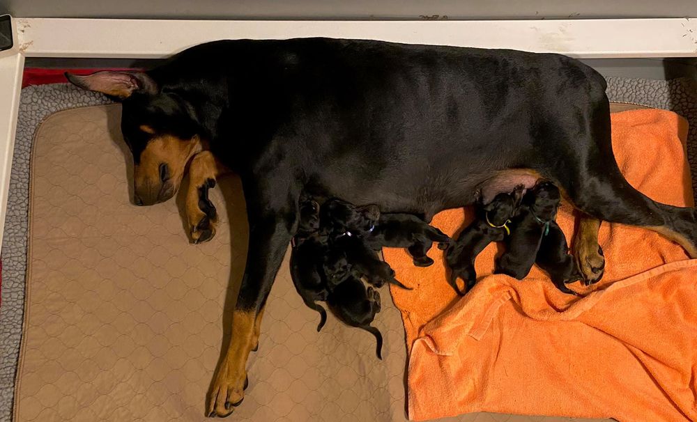 A few hours old