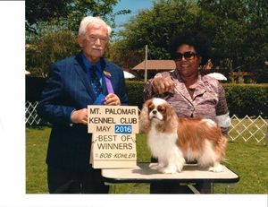 AKC JUDGE NORMAN L PATTON -2016