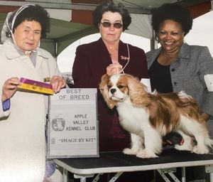 AKC JUDGE: MS. SANDY I. WHEAT
FRIEND: SUSAN CARGIL