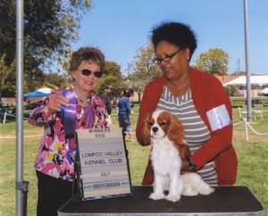 AKC Patricia V. Trotter
6-9 Puppy Class
“Just let me off this table so I can play!”