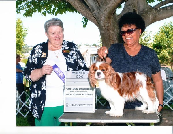 AKC JUDGE: Mrs. Thora P. Brown