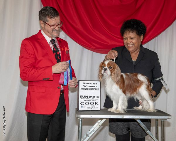 BW AKC Judge Daryl Vice.