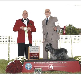 GCH Chalma's Fiky Dzem Best Veteran in Sweepstakes MCKC at the ACTFA National Specialty October 2019 Owned by Linda & Bob Comer