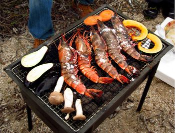 After dinner, we drive to Lake Bewako and sleep on the top floor of a building by the lake. When we awake in the morning, the water is rippling and the sun shining. We spend the day at a Japanese style BBQ at the shore.
