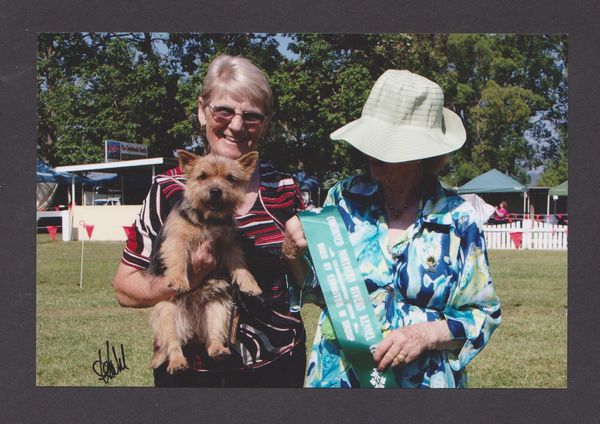 Aust CH Casmara/JR Blue Diamond "Kimba" Dec 2018. Judge: Mrs S Sutherland (Vic)